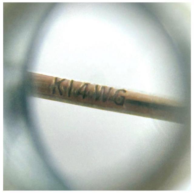 K14WG 14K ���� �I�j�L�X �s�A�X �� �j���A�N�Z�T���[/���v�� 