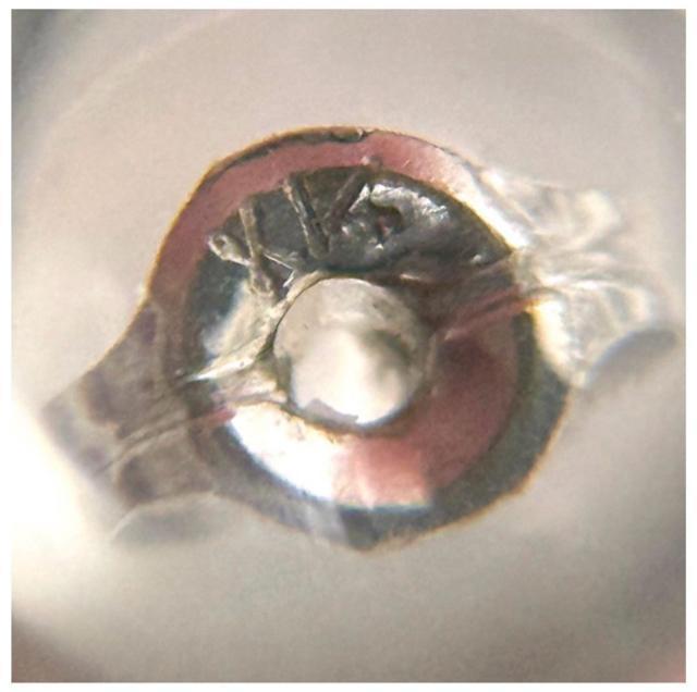 K14WG 14K ���� �I�j�L�X �s�A�X �� �j���A�N�Z�T���[/���v�� 