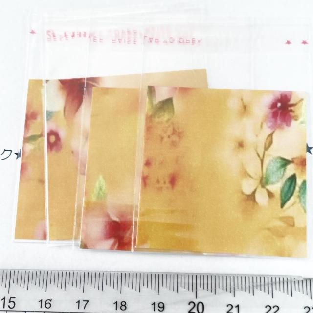 6*�����䎆�����OPP�܁@4���@6 