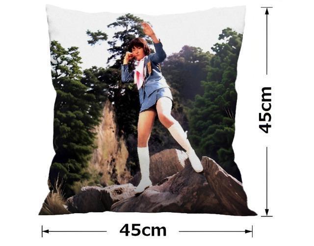 新品☆クッションカバー☆志穂美悦子☆女ドラゴン < インテリア/ライフ 新品☆クッションカバー☆志穂美悦子☆女ドラゴン < インテリア/ライフの