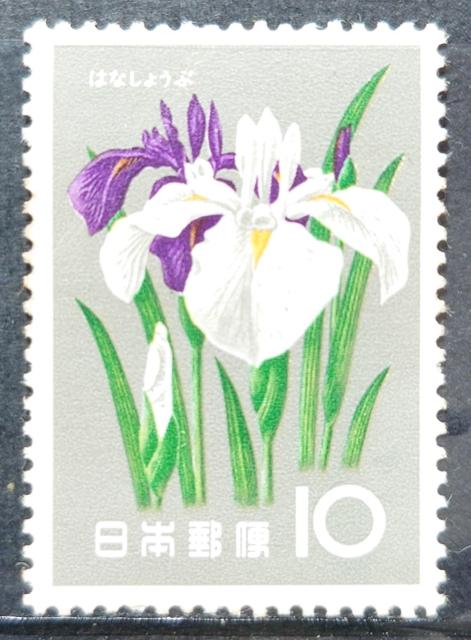 日本郵便 日本の切手 未使用切手 記念切手 花シリーズ 1961年 6月 ハナショウブ 花菖蒲 はなしょうぶ 額面10円 < ホビー 日本郵便 日本の切手 未使用切手 記念切手 花シリーズ 1961年 6月 ハナショウブ 花菖蒲 はなしょうぶ 額面10円 < ホビーの