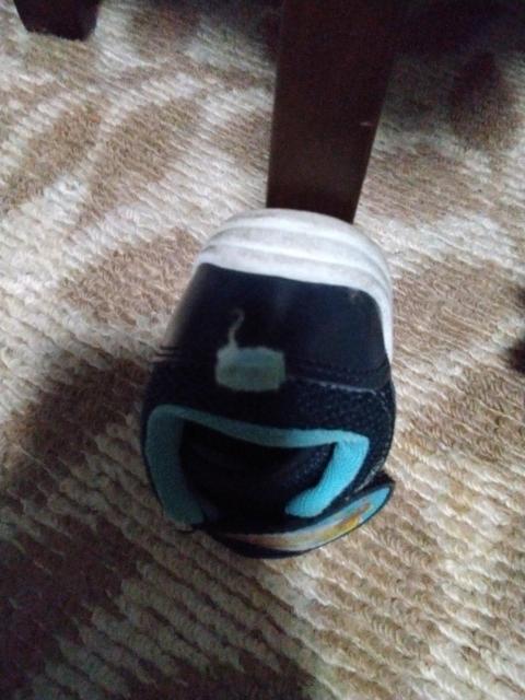 �q���C  �A���p���}��  14cm �� �L�b�Y/�x�r�[�� 