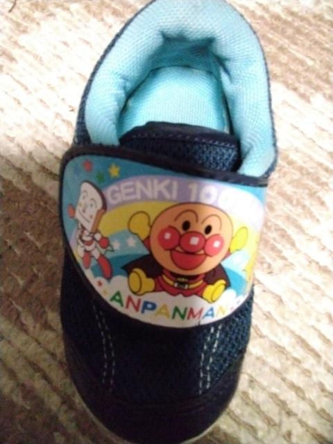 �q���C  �A���p���}��  14cm �� �L�b�Y/�x�r�[�� 