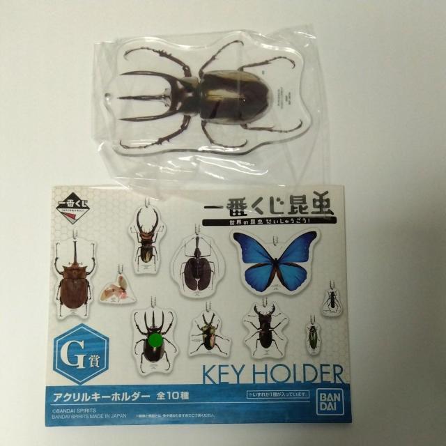 一番くじ 昆虫 世界の昆虫だいしゅうごう G賞 アクリルキーホルダー アトラスオオカブト < アニメ/コミック/キャラクター  一番くじ 昆虫 世界の昆虫だいしゅうごう G賞 アクリルキーホルダー アトラスオオカブト  < アニメ/コミック/キャラクターの