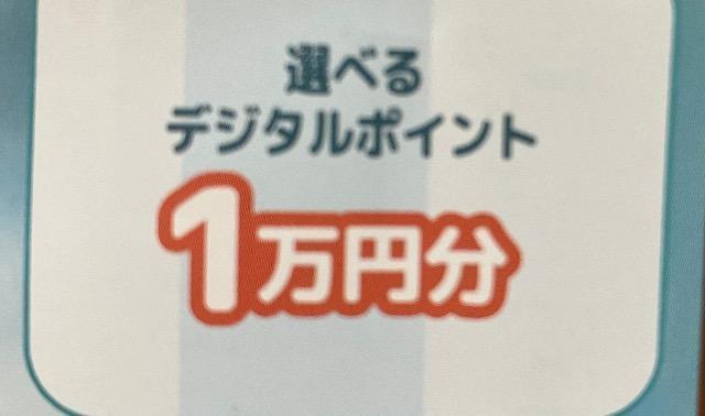 IׂfW^|Cg1~/BRUNOI[vg[X^[100l2 