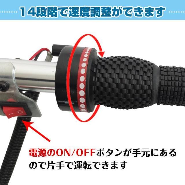 DO@ ⎮ GW 2Xg[N 43cc {[g i px\ 14iKx  W[/X|[c 