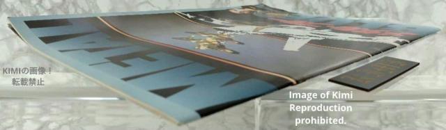 メタル ブルー Iron Eagle II 映画 パンフレット 本 1988 マーク ハンフリー、ルイス ゴセット ジュニア Ir < ホビー メタル ブルー Iron Eagle II 映画 パンフレット 本 1988 マーク ハンフリー、ルイス ゴセット ジュニア Ir < ホビーの