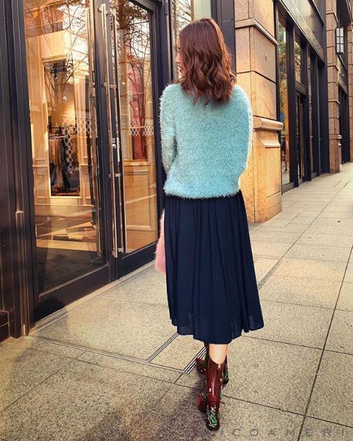 MICOAMERI_v[cXJ[glCr[Si  uh 