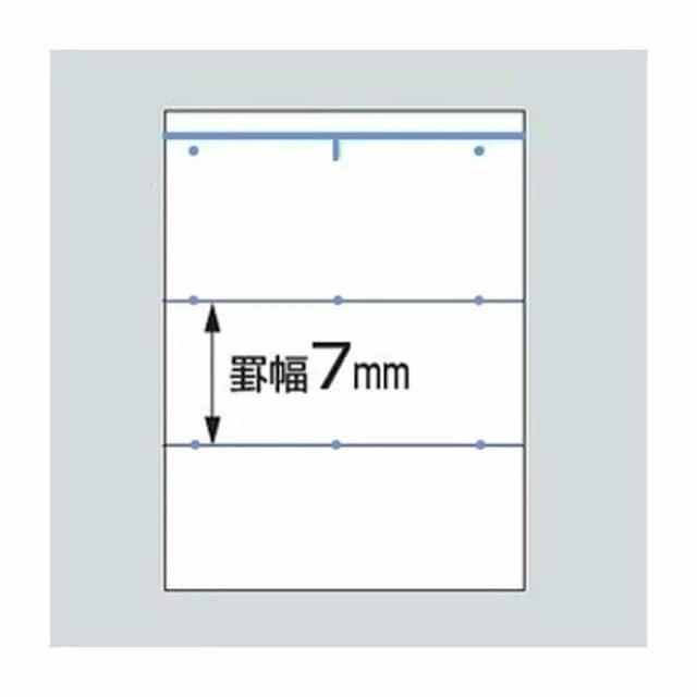 �S�ł̐n �L�����p�X�m�[�g 5�� �� �C���e���A/���C�t�� 