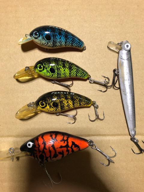 ダイワ オールド ピーナッツ < レジャー/スポーツ ダイワ オールド ピーナッツ < レジャー/スポーツの