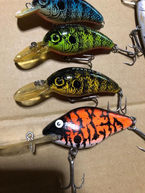 ダイワ オールド ピーナッツ < レジャー/スポーツ ダイワ オールド ピーナッツ < レジャー/スポーツの