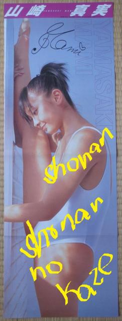 女子アナパーフェクト名鑑と山崎真実のレオタードでI字開脚特大ポスター < タレントグッズ  女子アナパーフェクト名鑑と山崎真実のレオタードでI字開脚特大ポスター  < タレントグッズの