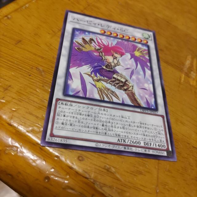 VY n[sBfBSC   g[fBOJ[h 