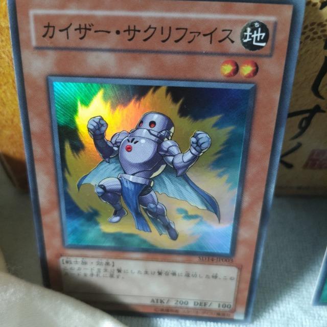 VY JCU[TNt@CX   g[fBOJ[h 