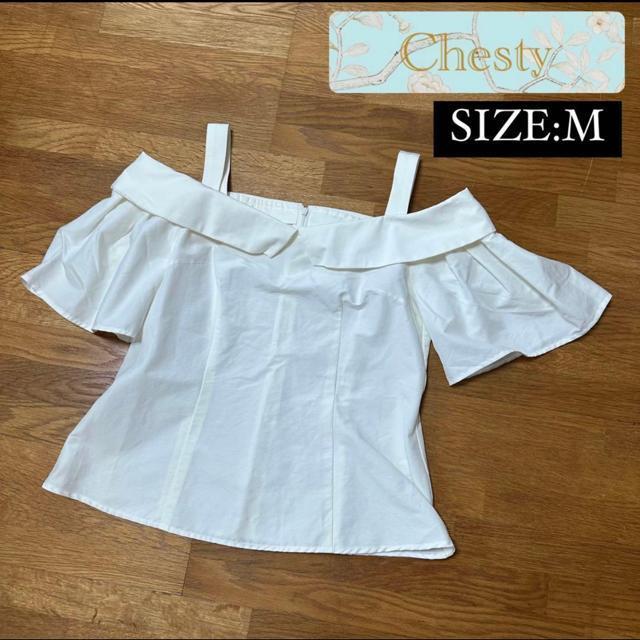 �y�`�F�X�e�B�z�I�t�V���� �g�b�v�X M�T�C�Y  �� �u�����h�� 