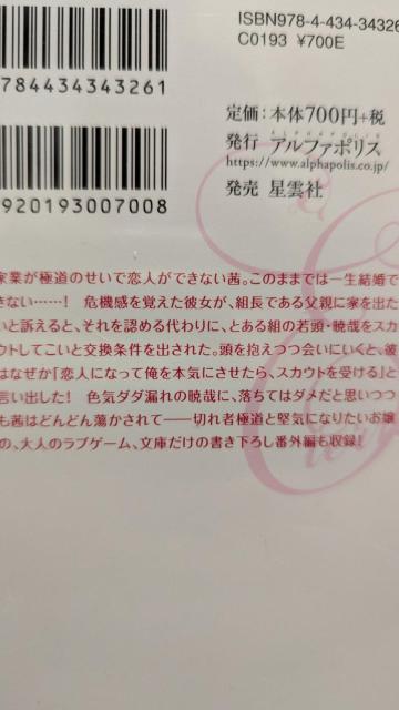 エリート若頭に甘く淫らに愛されています★桃瀬いづみ★エタニティ文庫 < 本/雑誌  エリート若頭に甘く淫らに愛されています★桃瀬いづみ★エタニティ文庫 < 本/雑誌の
