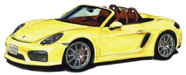 GC-1009 911T/BoxsterŉTCzƕE  /oCN