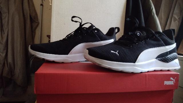 �قڐV�i�X�j�[�J�[ �v�[�} ���ɔ����C�� 26�Z���`  �� �u�����h�� 