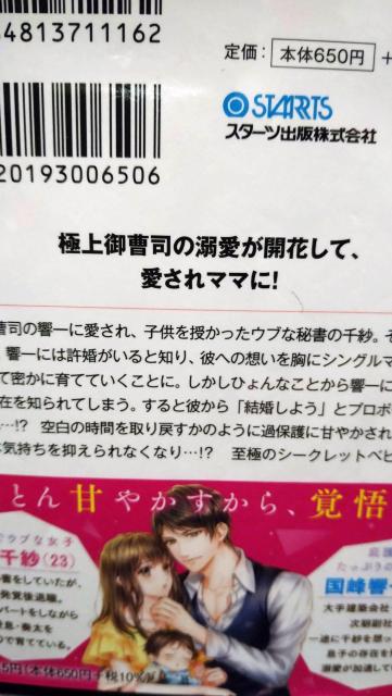 秘密の出産でしたが御曹司の溺甘パパぶりが止まりません★pinori★ベリーズ文庫 < 本/雑誌 秘密の出産でしたが御曹司の溺甘パパぶりが止まりません★pinori★ベリーズ文庫 < 本/雑誌の