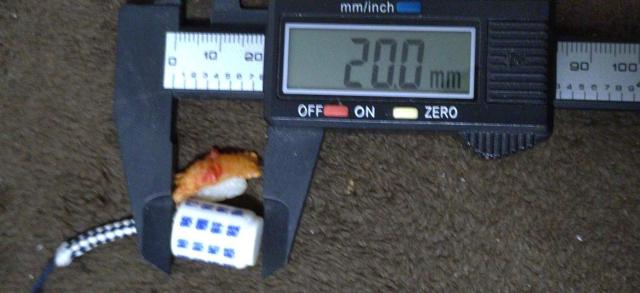 ストラップ 寿司魚湯呑み&貝寿司 < 家電/AV ストラップ 寿司魚湯呑み&貝寿司 < 家電/AVの