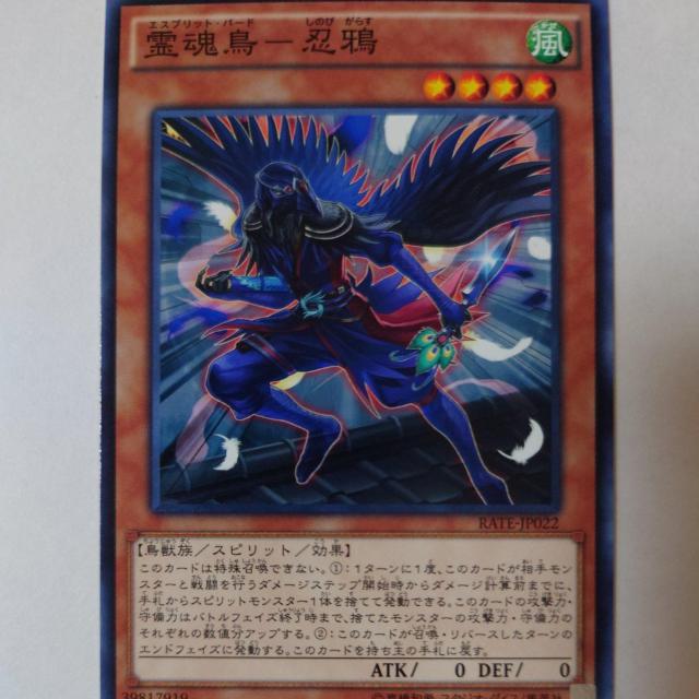 VY@썰-E@m[}   g[fBOJ[h 