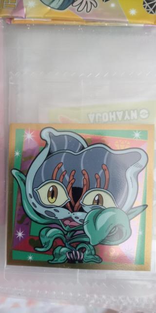 �W���W���V�[���@�X�g���C�L���b�g  �� �A�j��/�R�~�b�N/�L�����N�^�[�� 