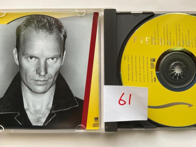 STING THE BEST OF STING 1984-1994 FIELDS OF GOLD �X�e�B���O �x�X�g�A���o�� �� CD/DVD/�r�f�I�� 
