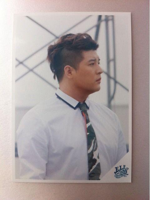 ☆SUPERJUNIOR a-nation 2013 FC限定フォト シンドン Ver. < タレントグッズ  ☆SUPERJUNIOR a-nation 2013 FC限定フォト シンドン Ver.  < タレントグッズの