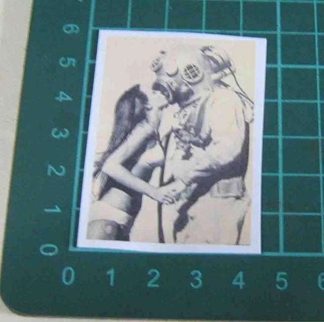 �_�C�o�[�Ə����@�X�e�b�J�[  �� �z�r�[�� 