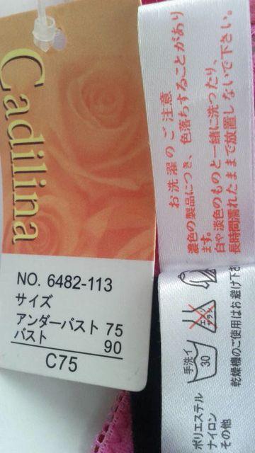 uW[AC75Vi_O bh C[ pbgȂ  t@bV 