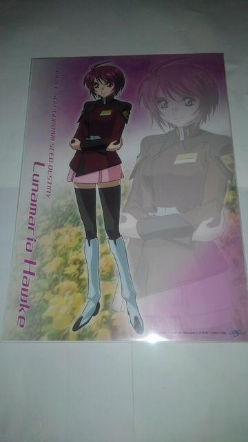 K_@SEED DESTINY ~j NA |X^[@@5Zbg@SN   zr[ 