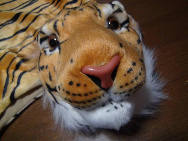 REA TIGER MAT A ^CK| }bg  Vi^Ot !B   