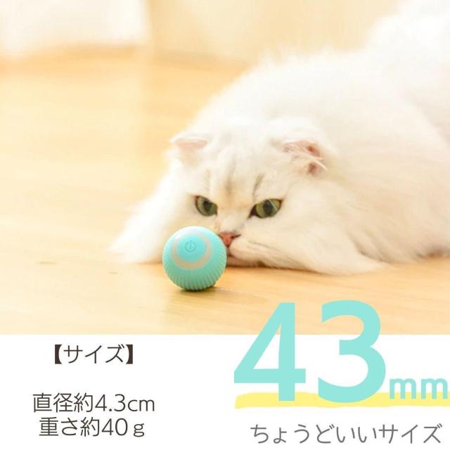 ybgp 360]{[ d{[ L炵 L S2F    ybg/|/| 