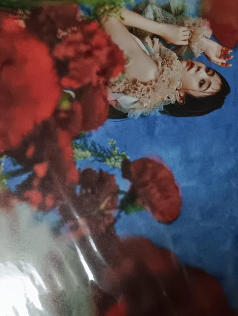 N46їR˃|XgJ[hZbg  zr[ 