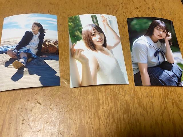 �����i�z�q �ʐ^3���Z�b�g��3  �� �^�����g�O�b�Y�� 