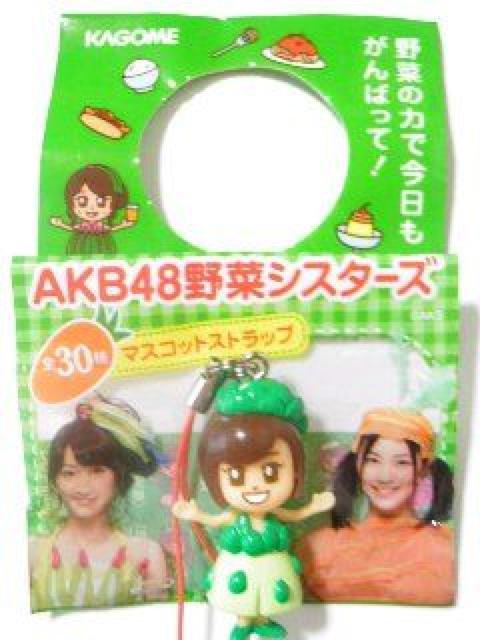sNewtKAGOME*؃VX^[YAKB48y{V]zAXpKXXgbv  ^gObY 