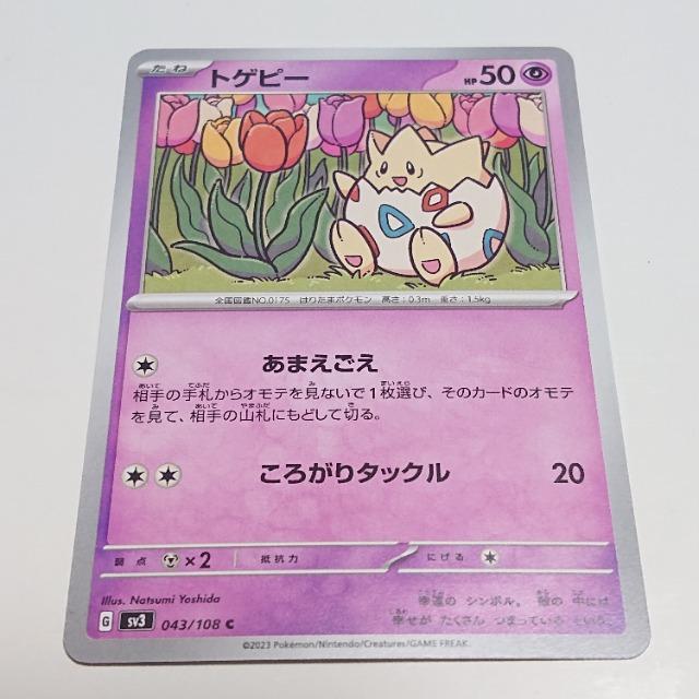 |PJ[h gQs[ C XJ[bgoCIbg ̎xz I[i[ |PJ 