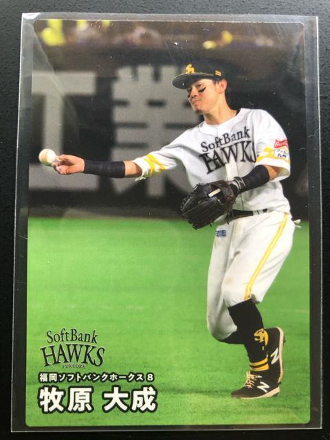 QOQTJr[싅Pe/mn-ORPE\tgoNz|NXEq听   g[fBOJ[h 