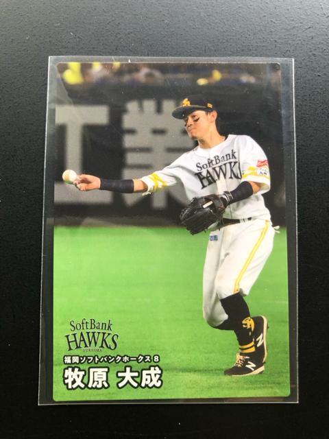 QOQTJr[싅Pe/mn-ORPE\tgoNz|NXEq听  g[fBOJ[h 