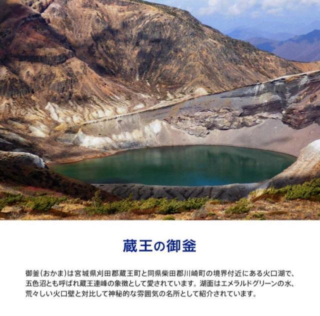 y42{zz ~lEH[^[ 500ml 42{ ܂Ƃߔ