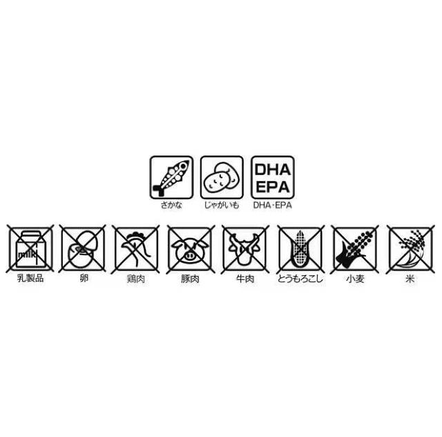 XT[h X[p[S[h _CGbgCg phCt[h800g  ybg/|/| 