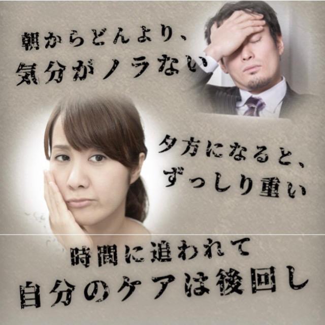 すっぽん黒酢にんにく卵黄 約3ヵ月分 無臭にんにく サプリメント 健康食品 < グルメ/ドリンク すっぽん黒酢にんにく卵黄 約3ヵ月分 無臭にんにく サプリメント 健康食品 < グルメ/ドリンクの