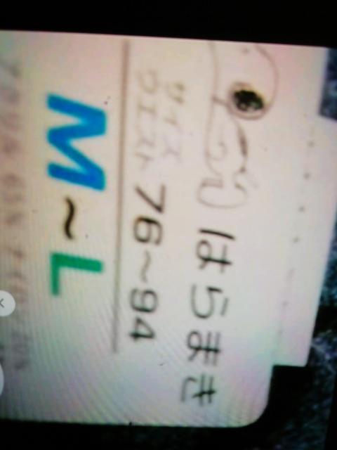 スぬ〜P?ハラマきm〜Lウエスト76ー94グレー系 < ホビー  スぬ〜P?ハラマきm〜Lウエスト76ー94グレー系 < ホビーの