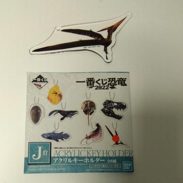 一番くじ 恐竜 2022  J賞 アクリルキーホルダー D < アニメ/コミック/キャラクター  一番くじ 恐竜 2022  J賞 アクリルキーホルダー D  < アニメ/コミック/キャラクターの