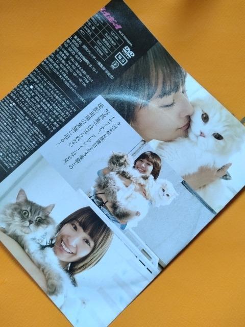 v[{[CDVDy@ށz  CD/DVD/rfI 