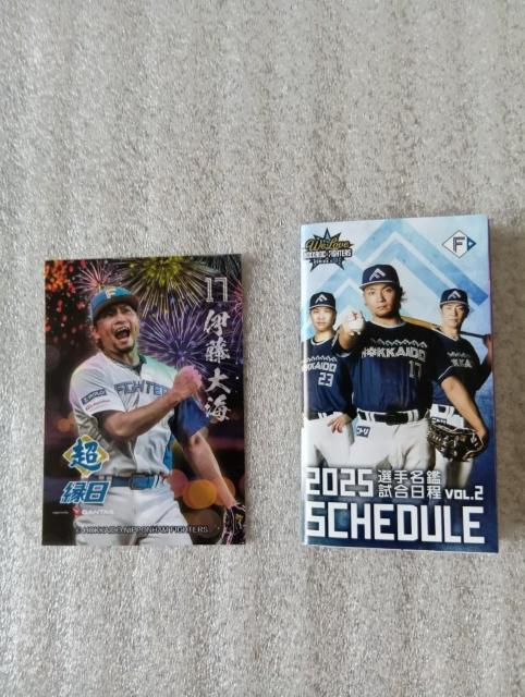  t@C^[YgJ @ ɓC@@ gJIQRR[ht@ 񔄕iAVi@ gJ  W[/X|[c 