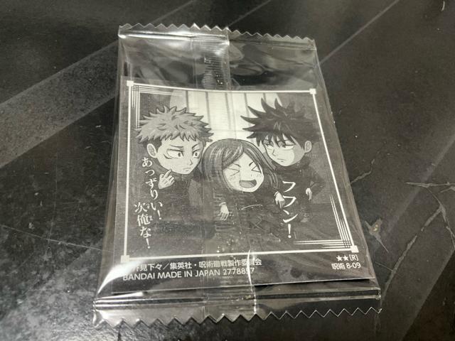 ��p����@�ɂӂ���߃V�[���E�G�n�[�X�@�V�[���̂݁@��p�������w�Z1�N�̃T���R�C�`�@�Տ�N�@���K�N�����@�����b�N �� �z�r�[�� 