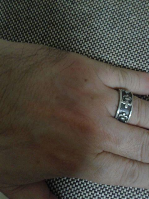 �������^�C�v��19�� �� �j���A�N�Z�T���[/���v�� 