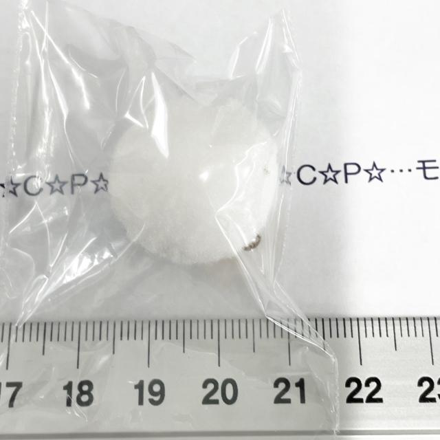 19*�|���|���`���[���@29 