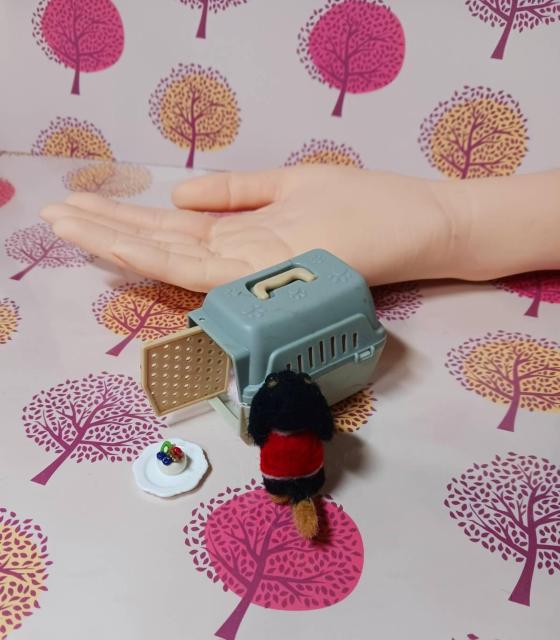 羊毛フェルト小さな々黒ダックスとキャリーケース・手作りケーキ < ペット/手芸/園芸 羊毛フェルト小さな々黒ダックスとキャリーケース・手作りケーキ < ペット/手芸/園芸の